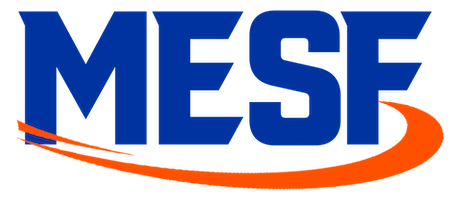 MESF One Championship